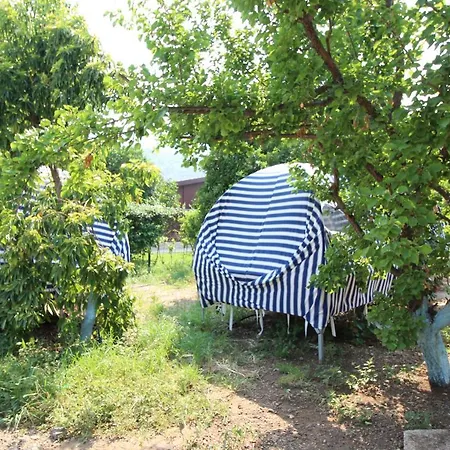 Quarto em Acomodações Particulares Gold Altinkaya Camping, Apart Pansiyon