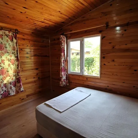 Gold Altinkaya Camping, Apart Pansiyon Homestay